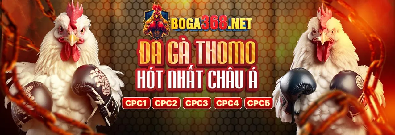 Cookie quảng cáo và nhắm mục tiêu